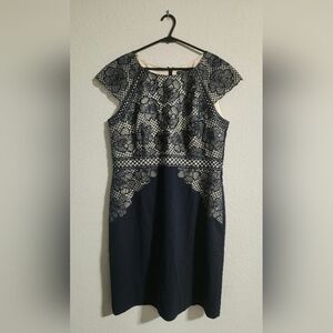 Antonio Melani Women’s Navy Cream Embroidered Floral Lace sheath dress 12